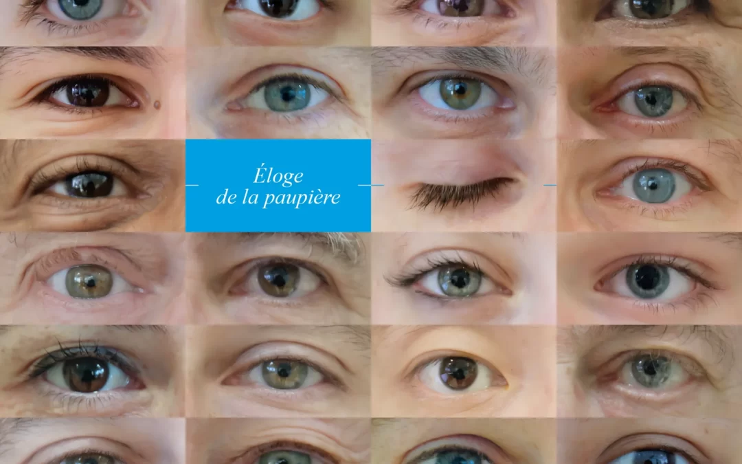 Optique des Entrepreneurs
