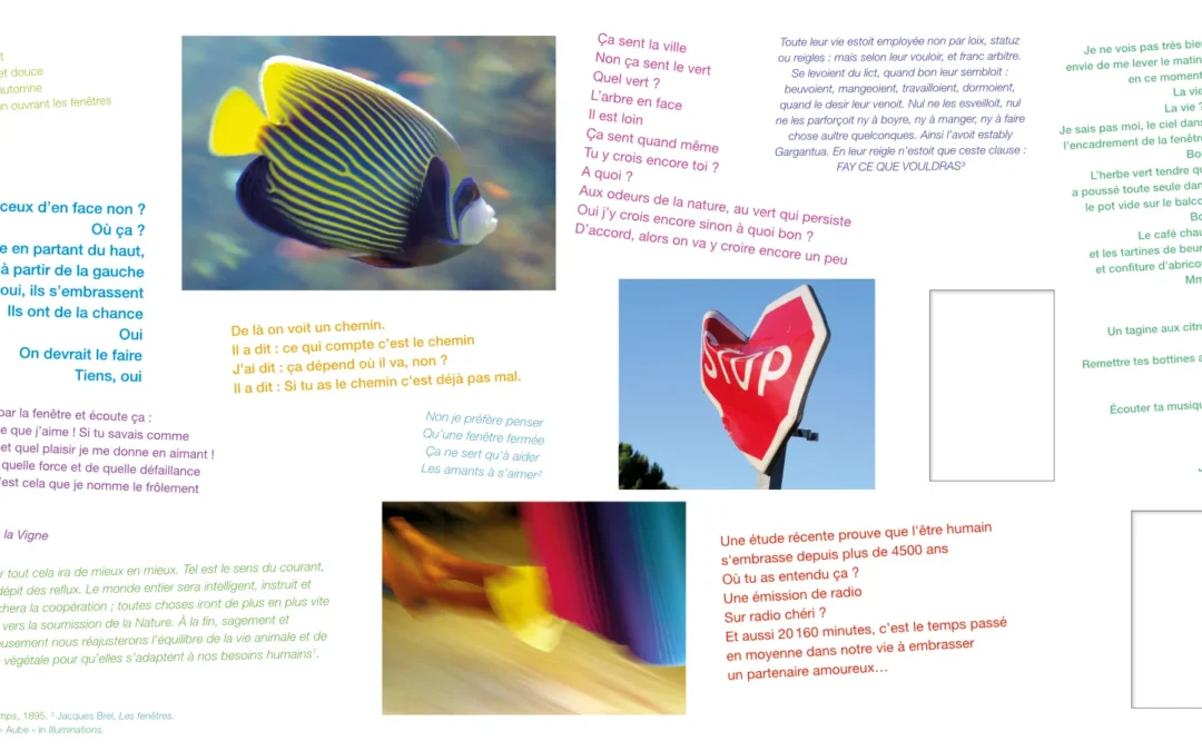Optique des Entrepreneurs