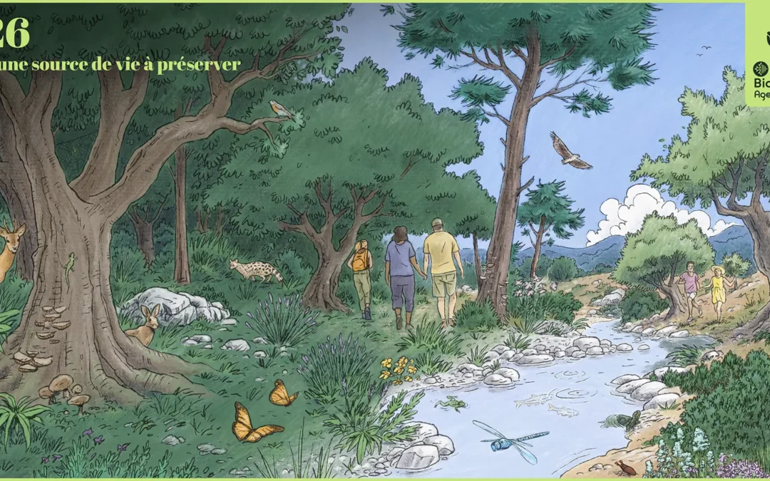 Occitanie Biodiversité